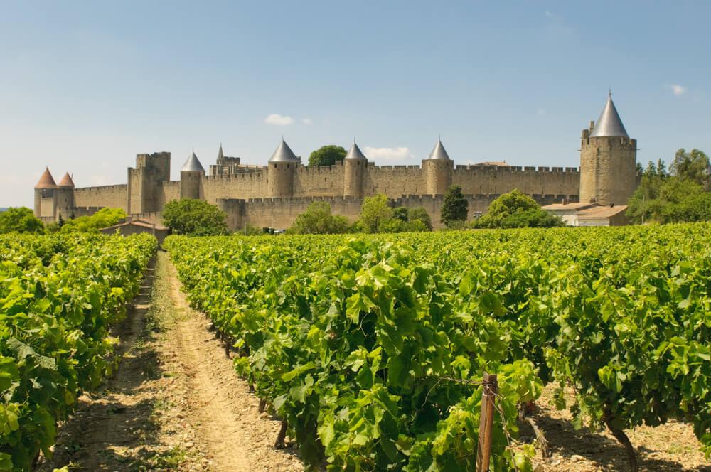 Spezialitäten Carcassonne Wein aus der Stadt Carcassonne