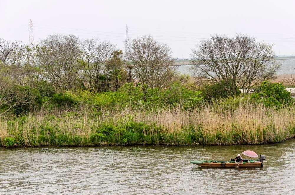 Tone-Fluss Japan shutterstock