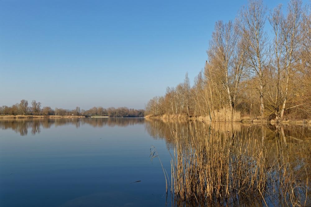 Der Große Park von Miribel-Jonage