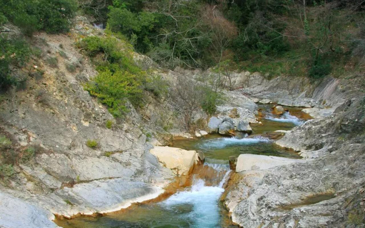 Baden im Süßwasser Côte d'Azur Oase Planfae