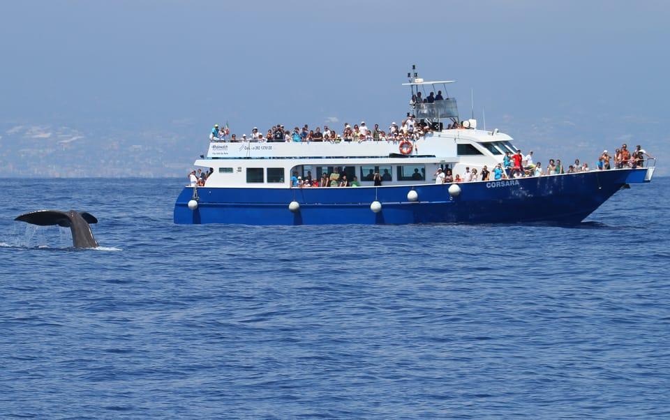 Akt 1 Genua