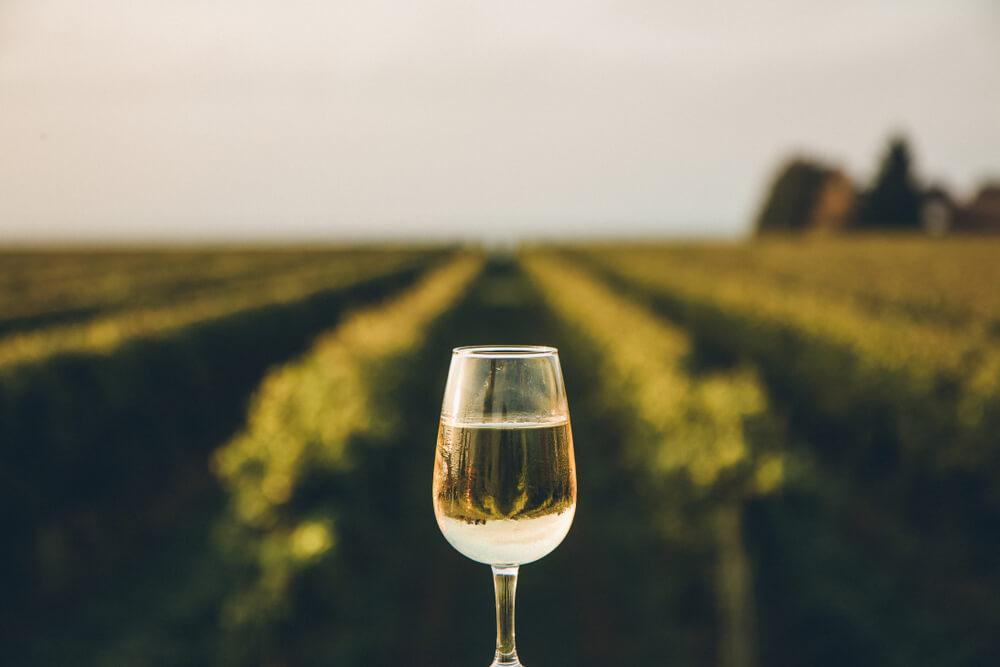 specialità la rochelle pineau