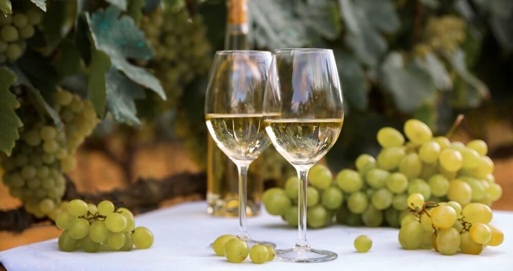 Spezialitäten Nantes Muscadet Weine aus Nantes