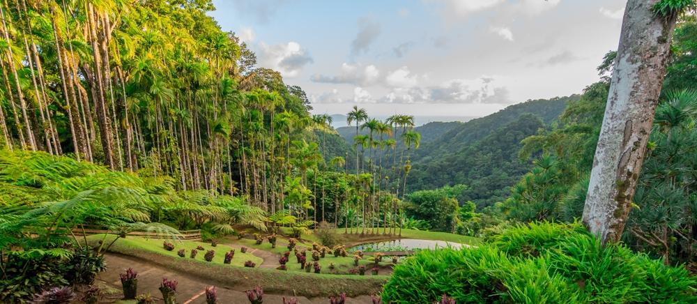Gärten von La Balata, in Martinique, Französische Antillen.