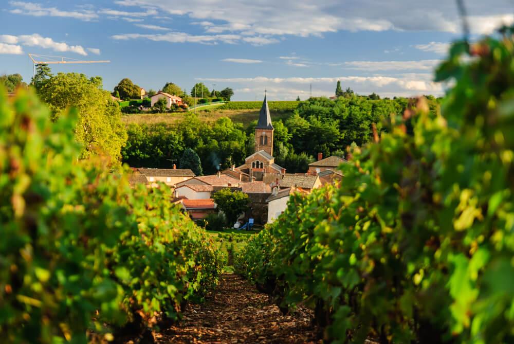 Spezialitäten Lyon Beaujolais Wein