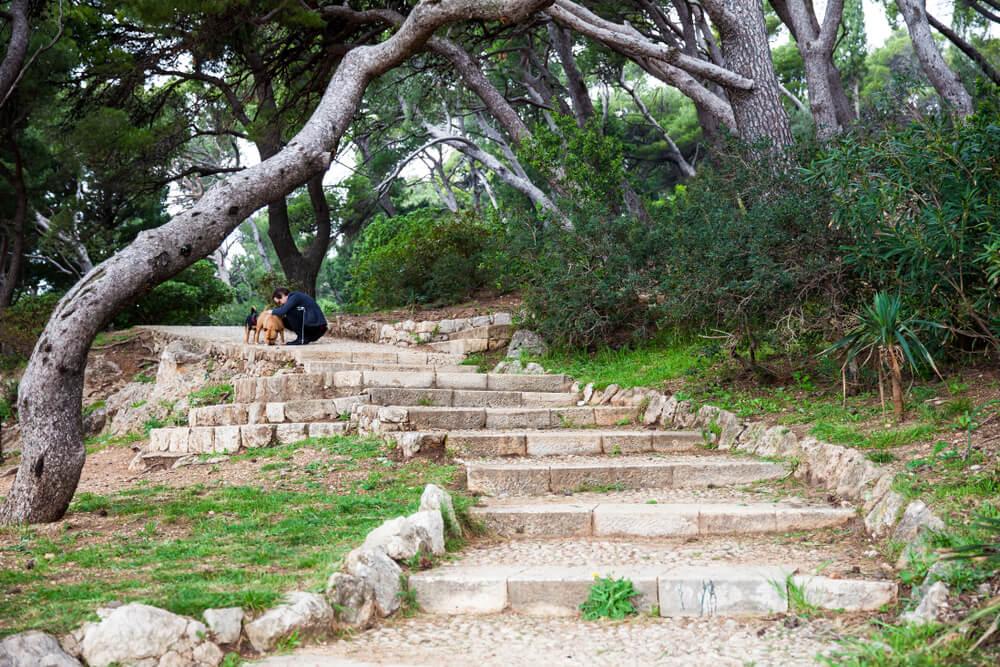 gradac park