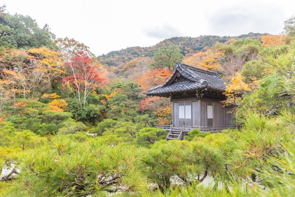 Herbstliche Blätter im Okochi Sanso Garten, Präfektur Kyoto
