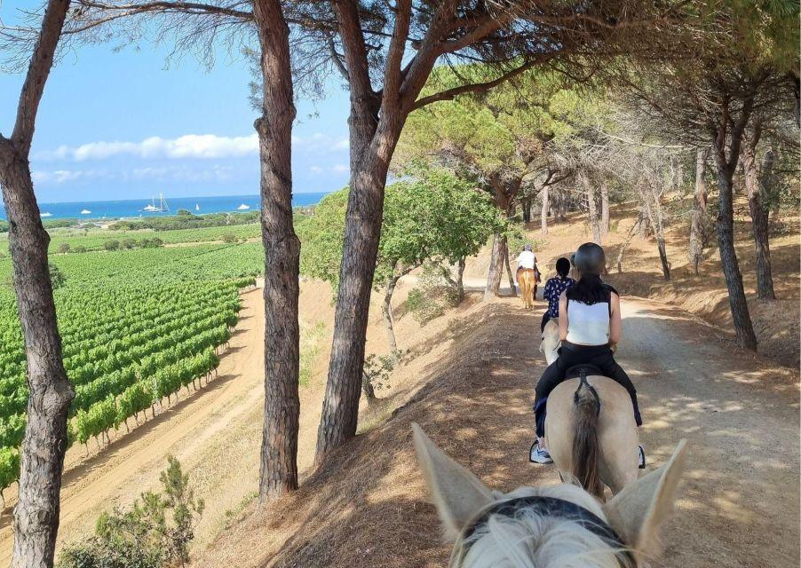 Akt 3 St. Tropez