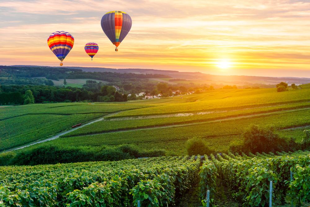 Coloridos,Globos,De,Aire,Cálido,Sobrevolando,Viñedos,De,Champán,Al,Atardecer