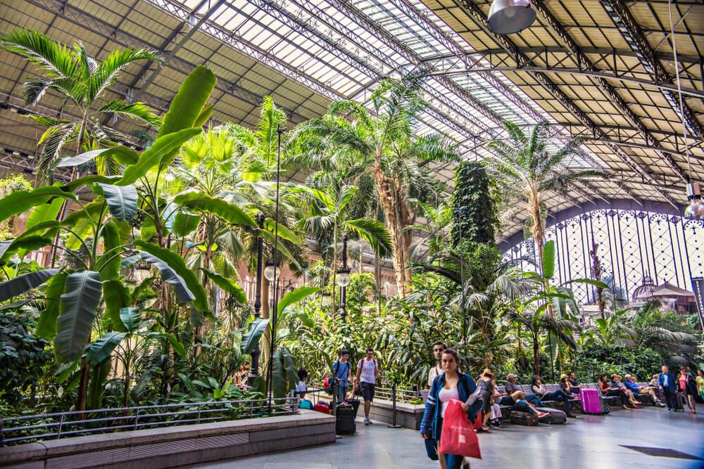 jardín Tropical de la estación de Atocha