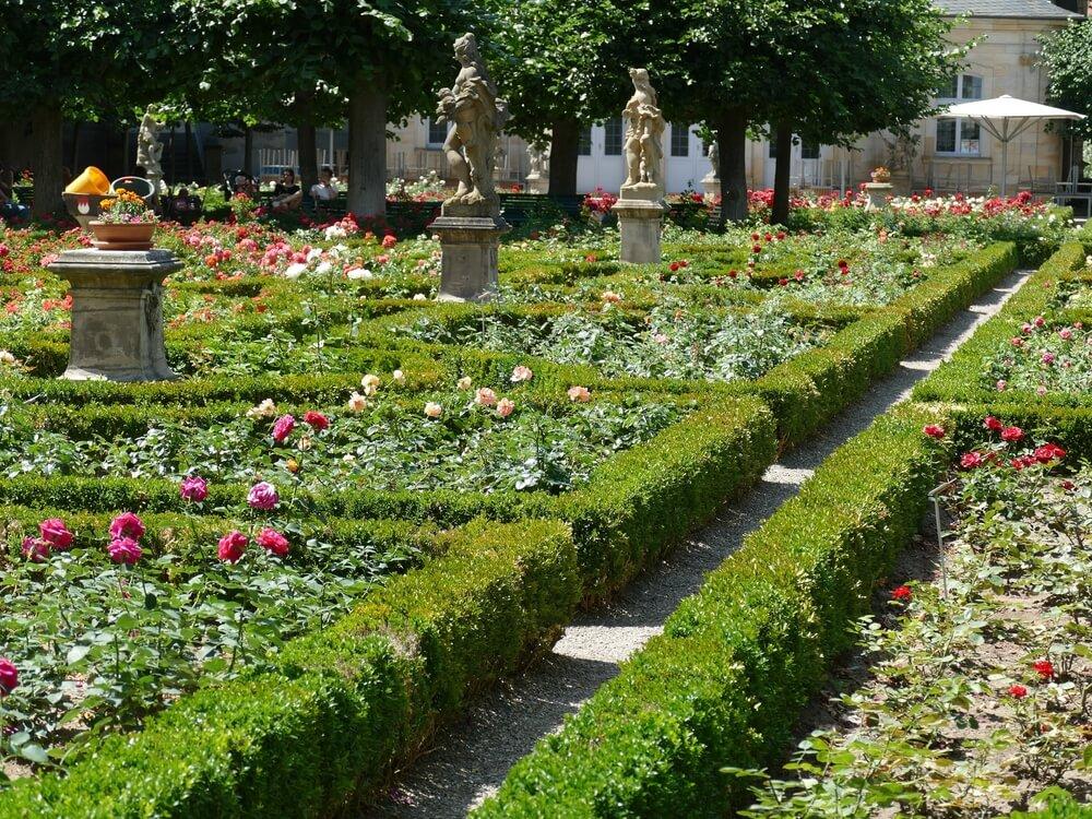 giardino delle rose