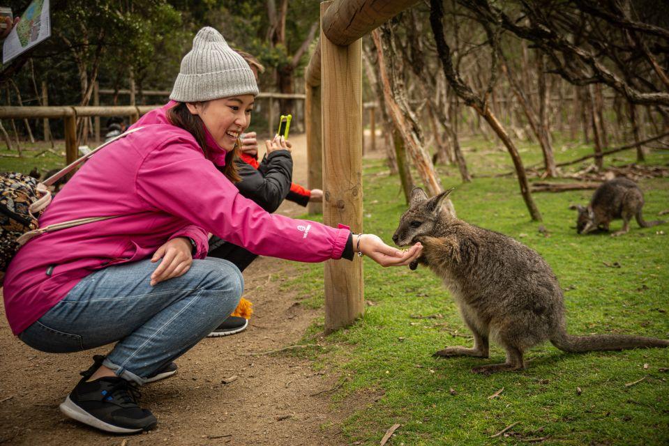 Akt 5 Melbourne