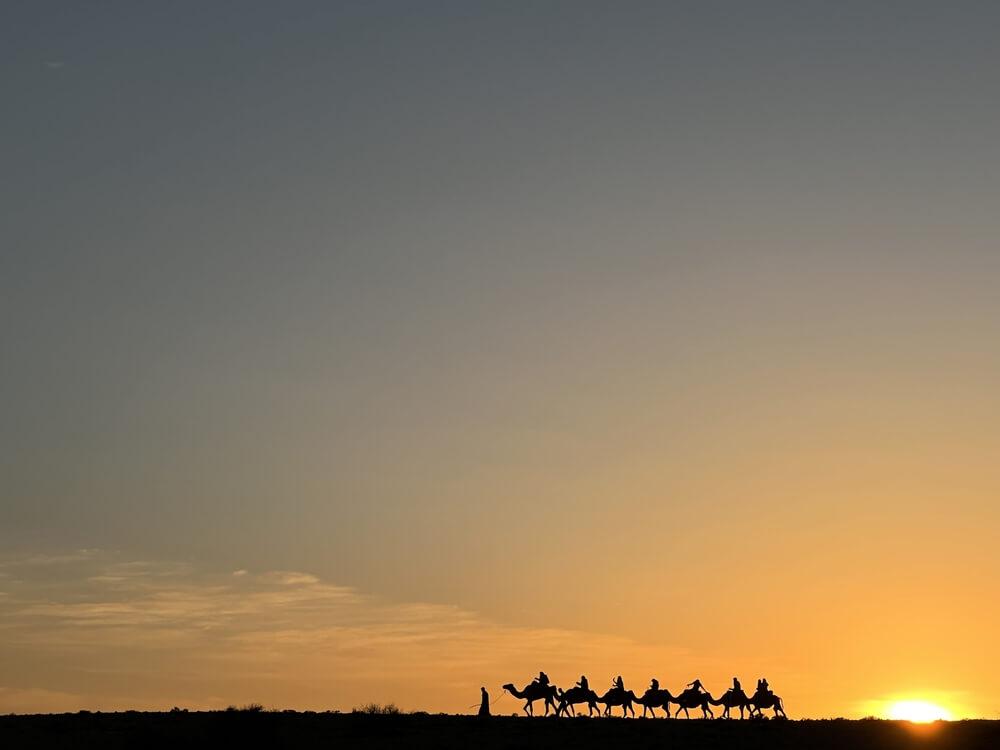 aktivitaeten marrakesch dromedar reiten abendessen lagerfeuer wüste agafay