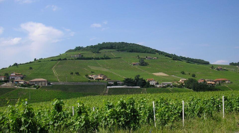 Aktivitäten Lyon Weinexkursion Genussbesuch Lyon