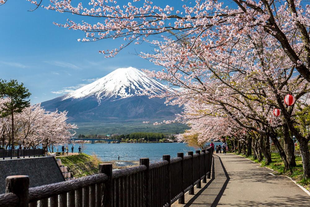 aktivitäten tokio ausflug zum mont fuji