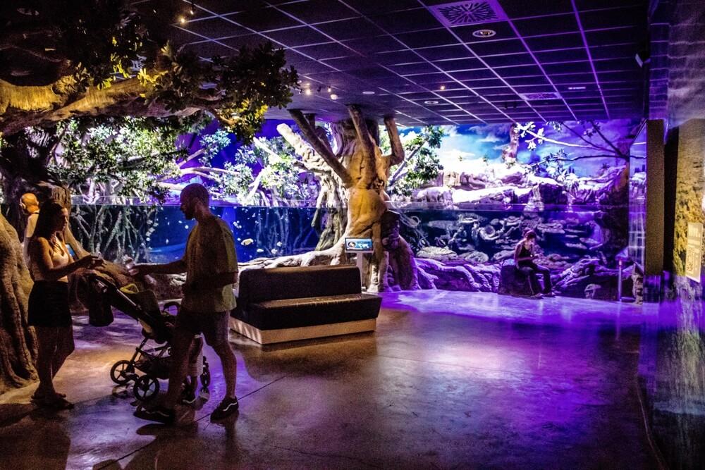 Aquarium