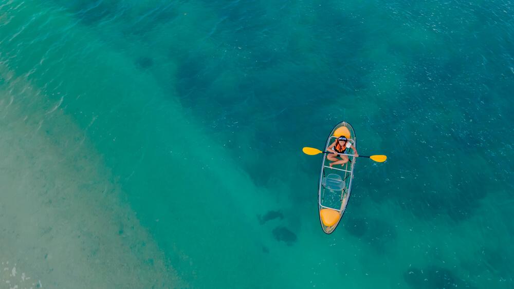 attivita sydney kayak trasparente