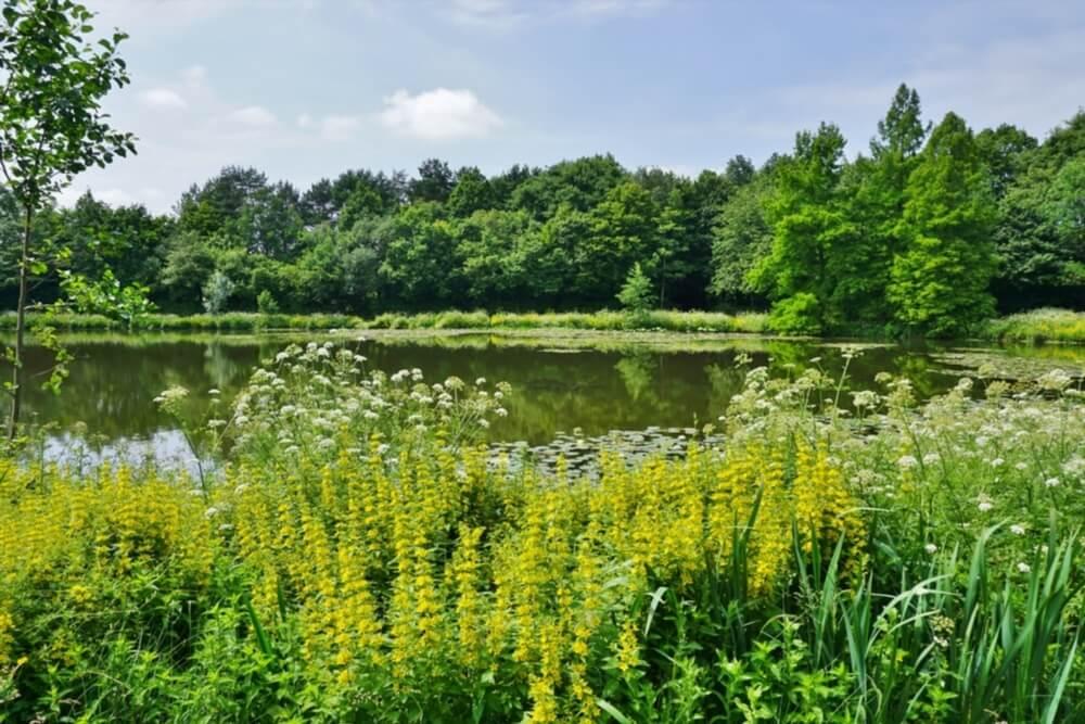 Park des Gayeulles Rennes