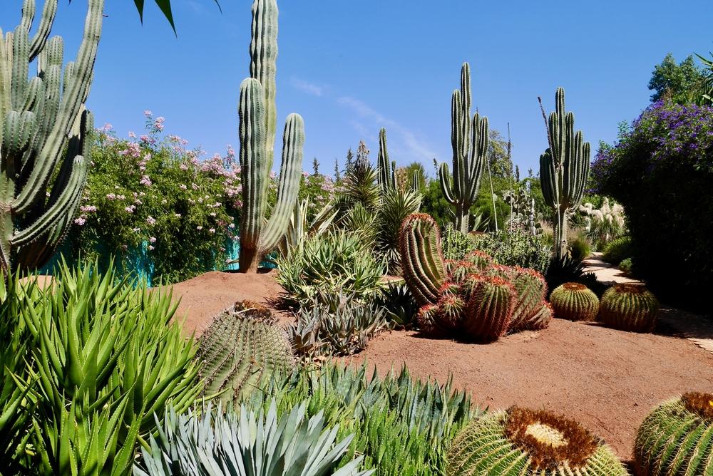 10 palacios y jardines desconocidos de la ciudad imperial de Marrakech