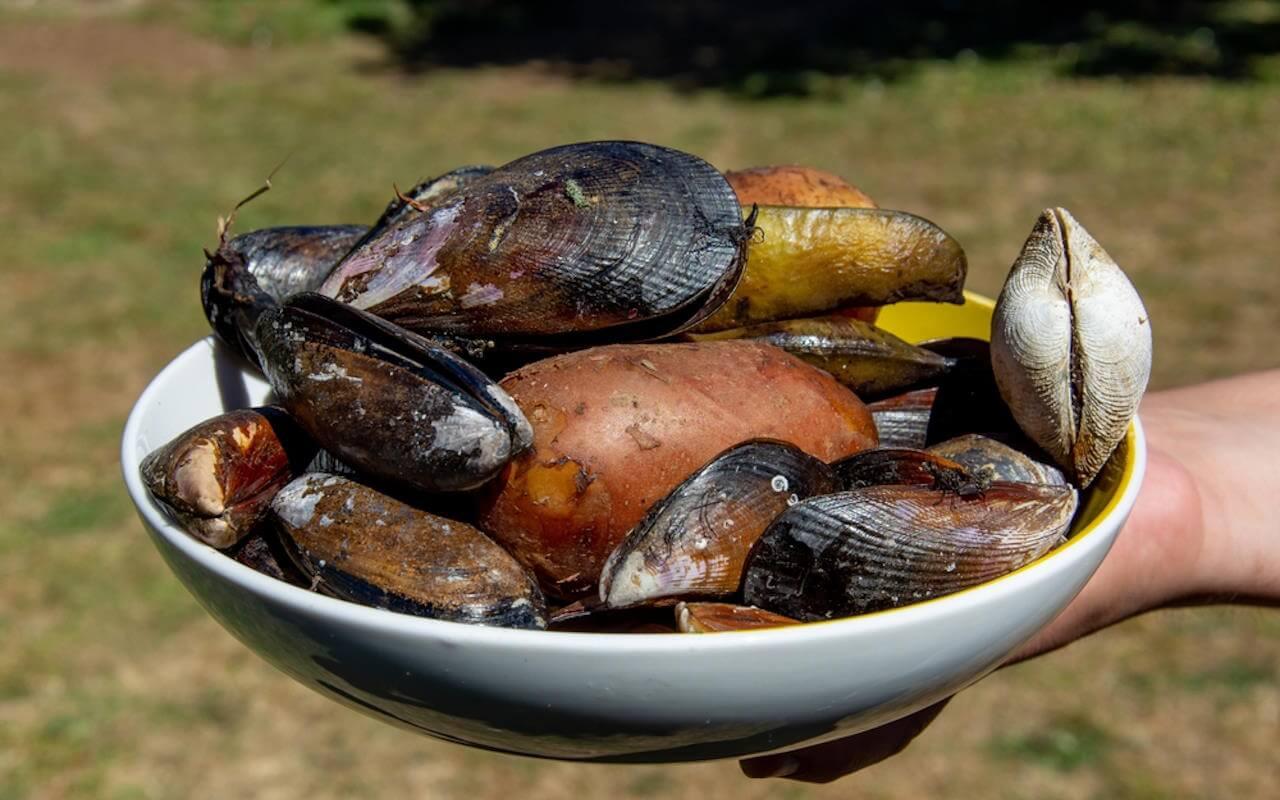 Top 10 de las especialidades culinarias en Santiago de Chile